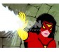 Spider-Woman: The 1979 Animated Series Complete DVD Collection